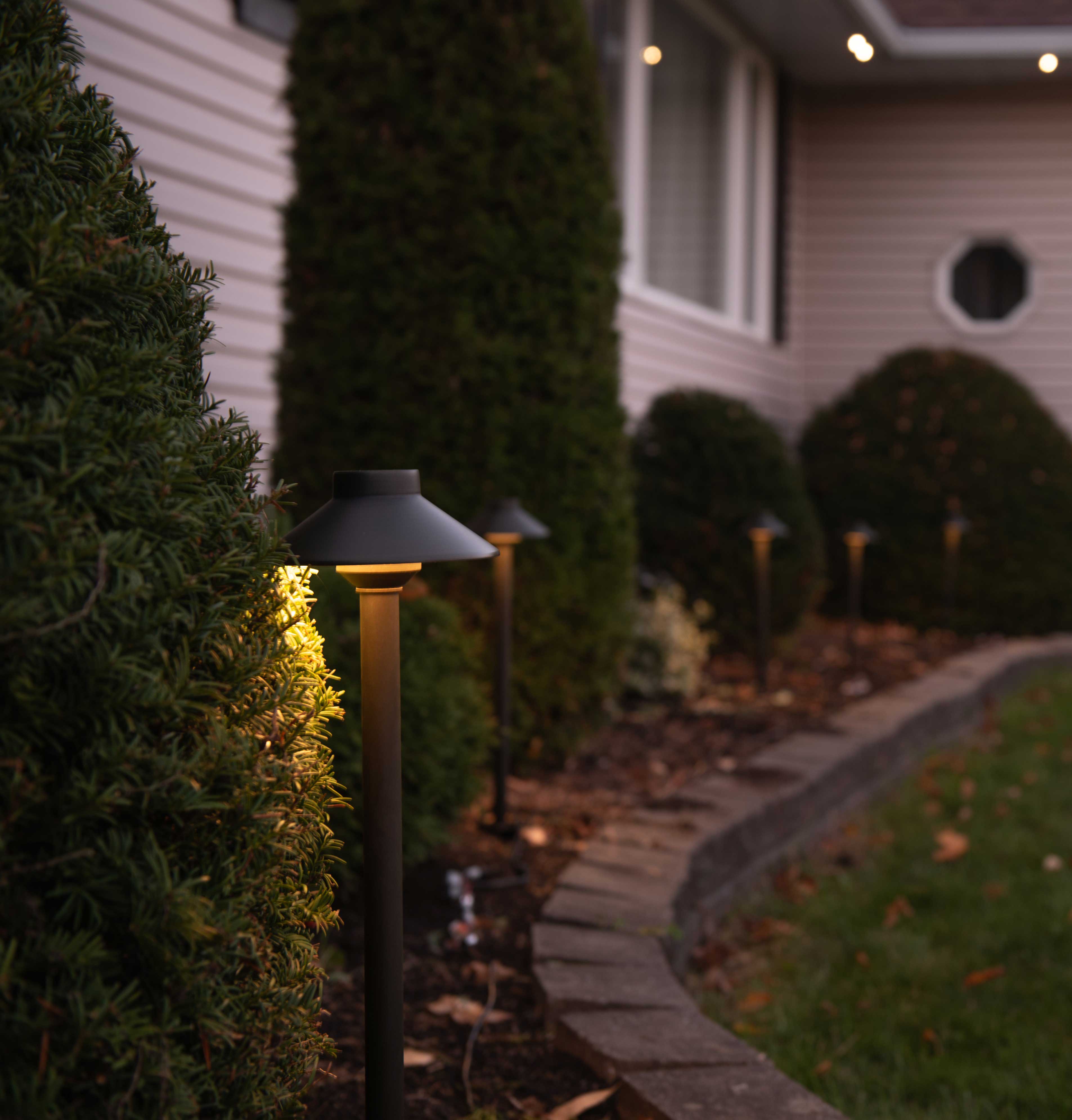 Landscape lighting example